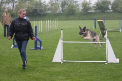 IMG_9785