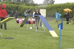 DSCN6341