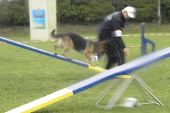 DSCN7030