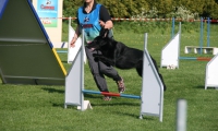 IMG_1917
