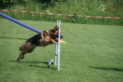 IMG_2148