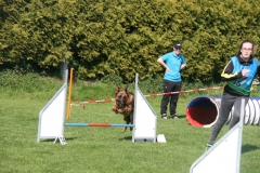 IMG_2162